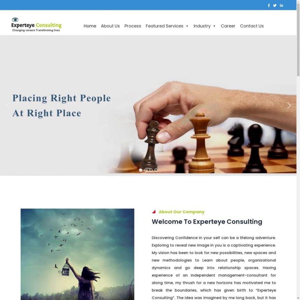 Expert Eye Consulting