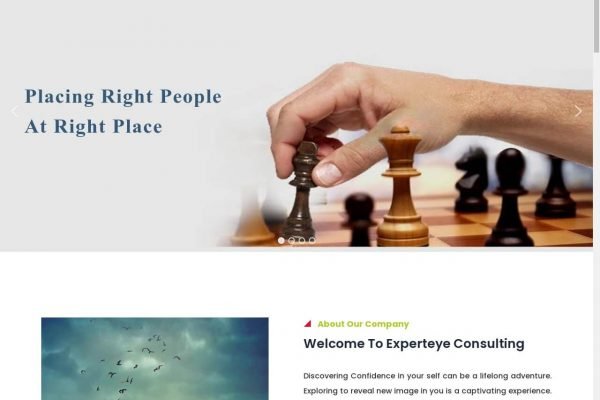 Expert Eye Consulting