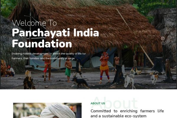Panchayati Foundation – NGO