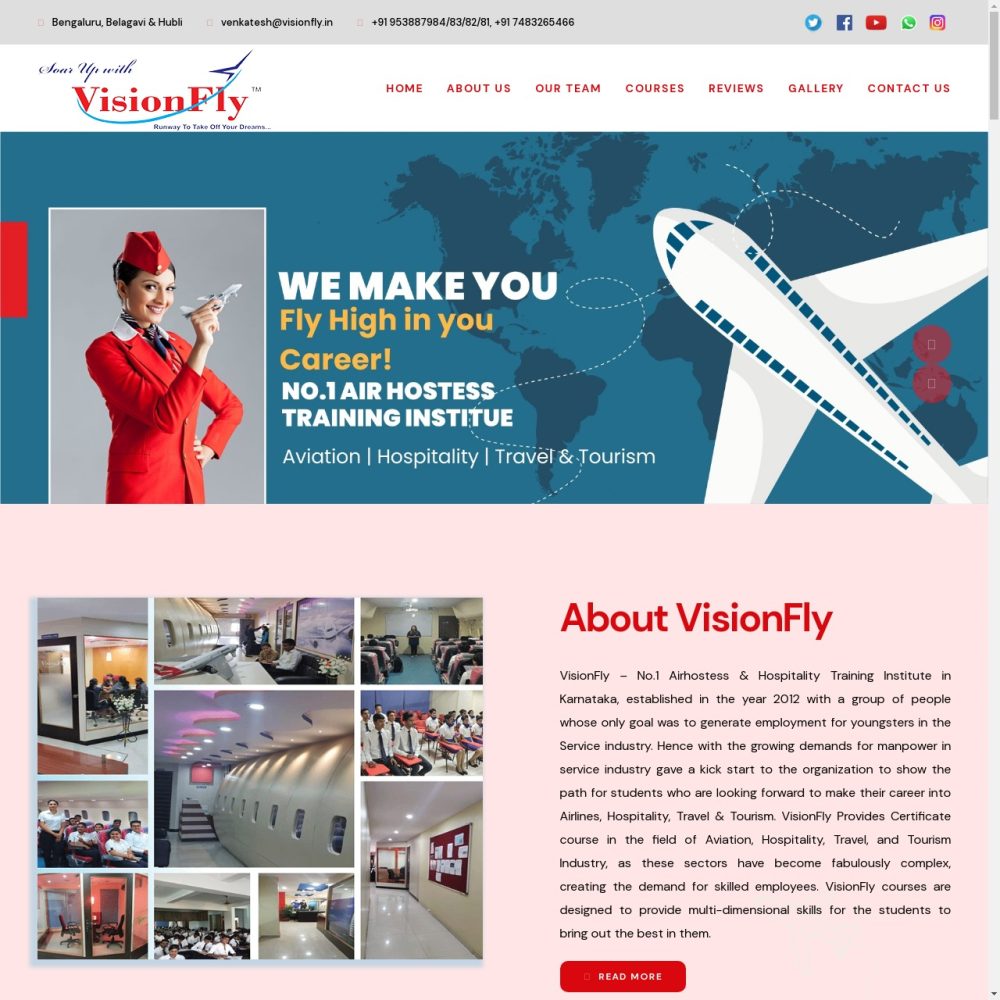 VisionFly