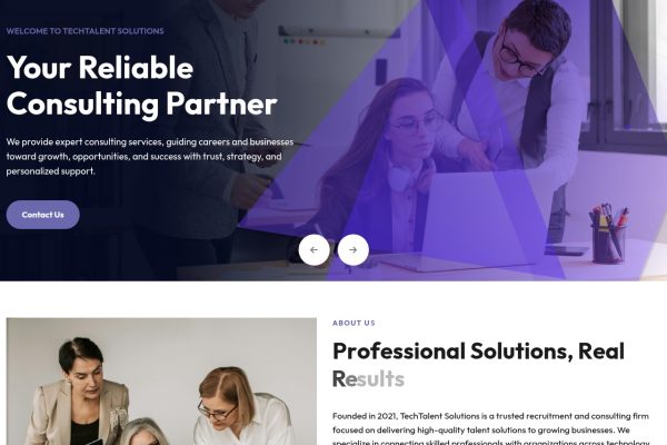 Tech Talent Solutions