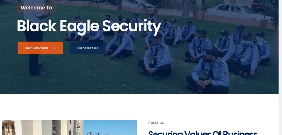 Black-Eagle-Security