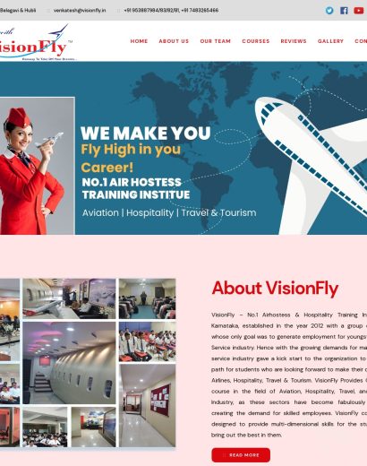 VisionFly