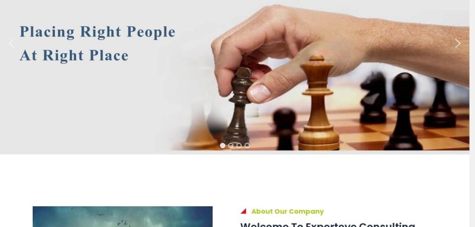 expert-eye-consulting